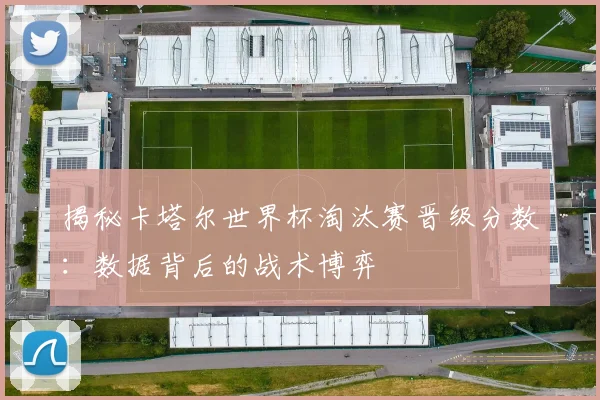 揭秘卡塔尔世界杯淘汰赛晋级分数：数据背后的战术博弈