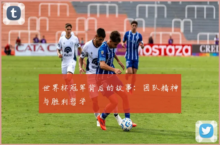 世界杯冠军背后的故事：团队精神与胜利哲学