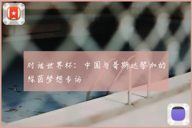 对话世界杯:中国与哥斯达黎加的绿茵梦想专访