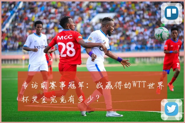 专访前赛事冠军:我赢得的WTT世界杯奖金究竟有多少?