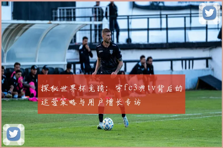 探秘世界杯竞猜：宇fc3典tv背后的运营策略与用户增长专访