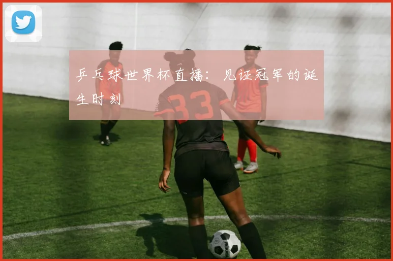 乒乓球世界杯直播:见证冠军的诞生时刻
