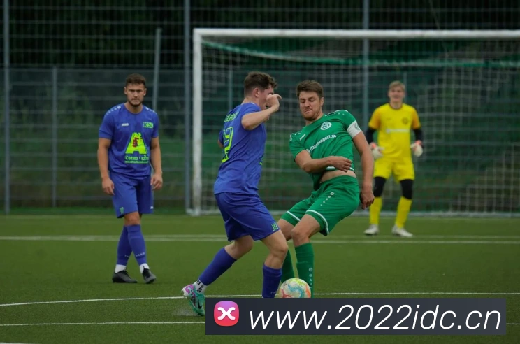 多媒体互动体验